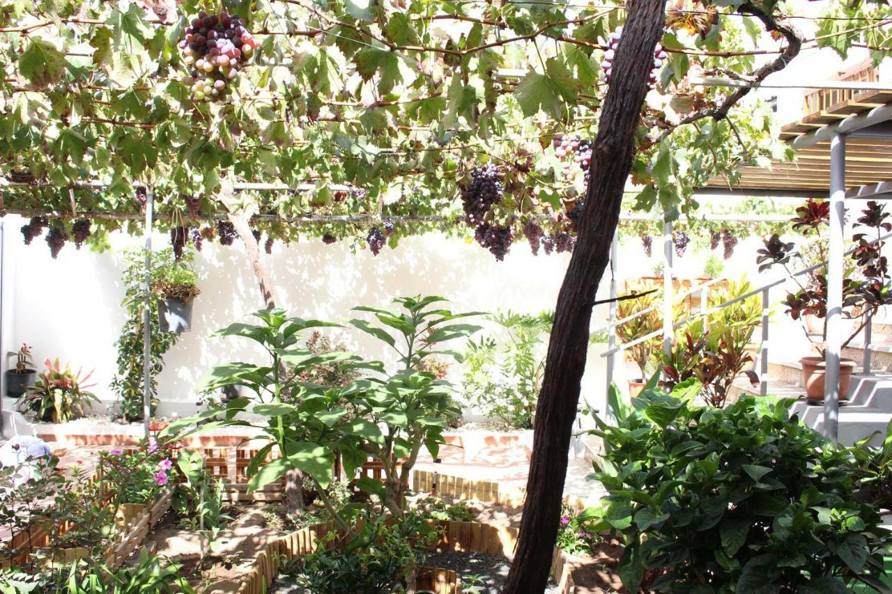 Casa Carmela Villa Agaete  Ngoại thất bức ảnh